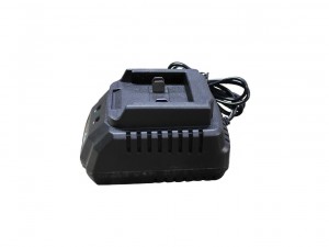 Зарядное устройство Nortool CSM21/2,0 - фото 3